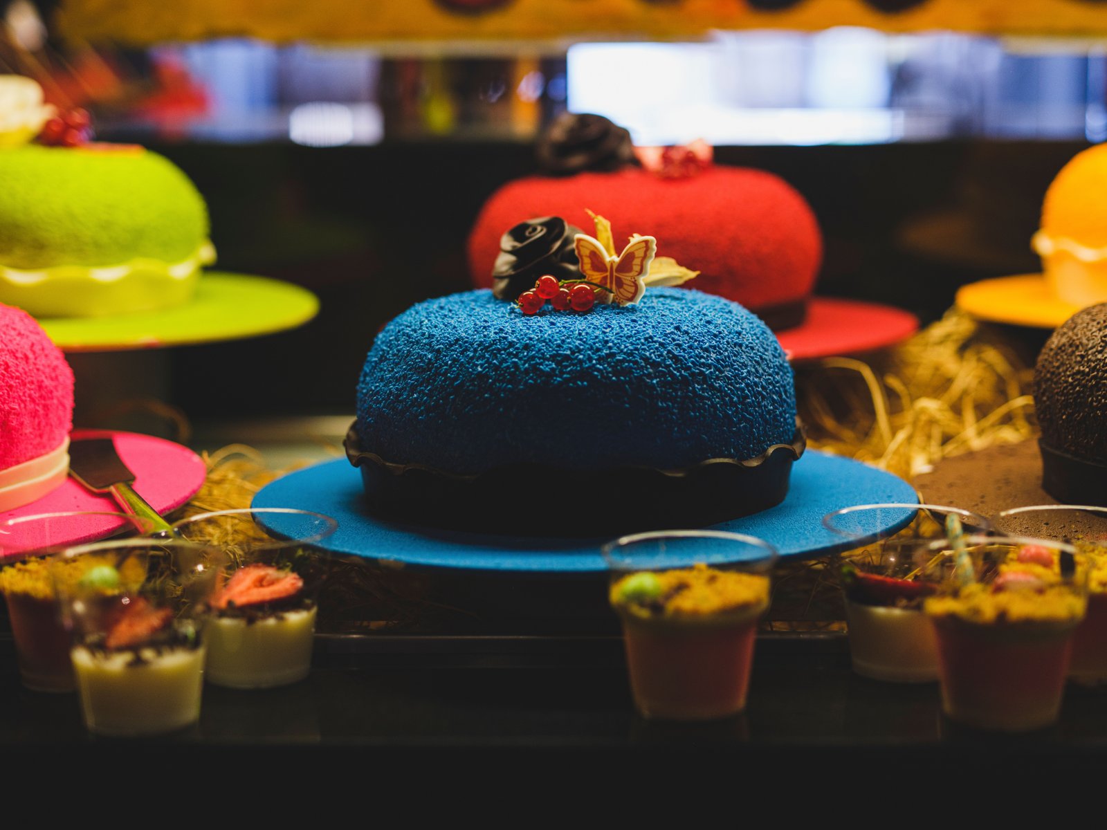 Vibrant blue velvet cake with butterfly decoration in a display case